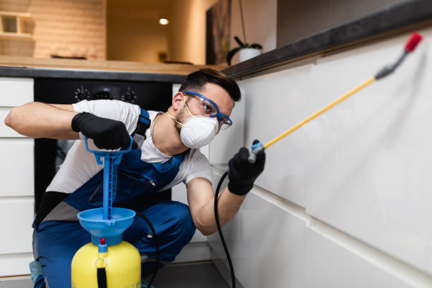 Reliable Seminole, OK Pest Control Solutions