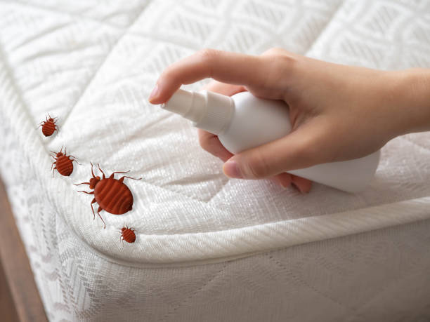 Best Commercial Pest Control Services  in Seminole, OK