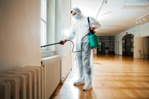 Best Pest Removal Services  in Seminole, OK