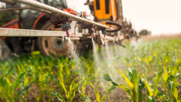 Best Pest Control Treatment  in Seminole, OK